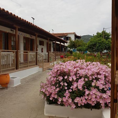 Asimina'S House Aparthotel Skiathos Exterior photo