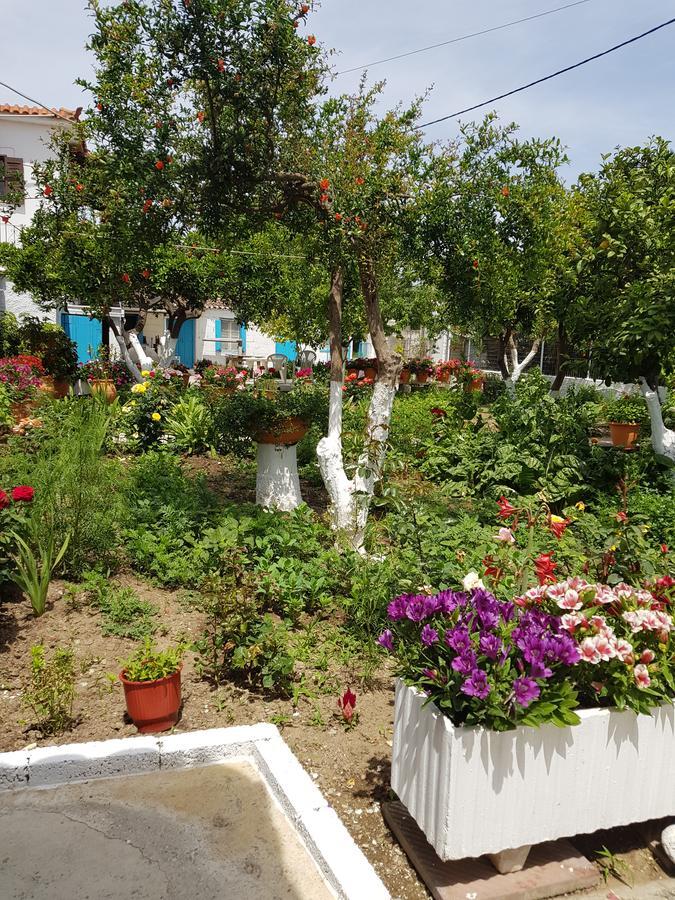 Asimina'S House Aparthotel Skiathos Exterior photo
