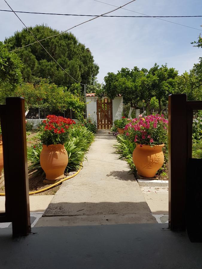 Asimina'S House Aparthotel Skiathos Exterior photo