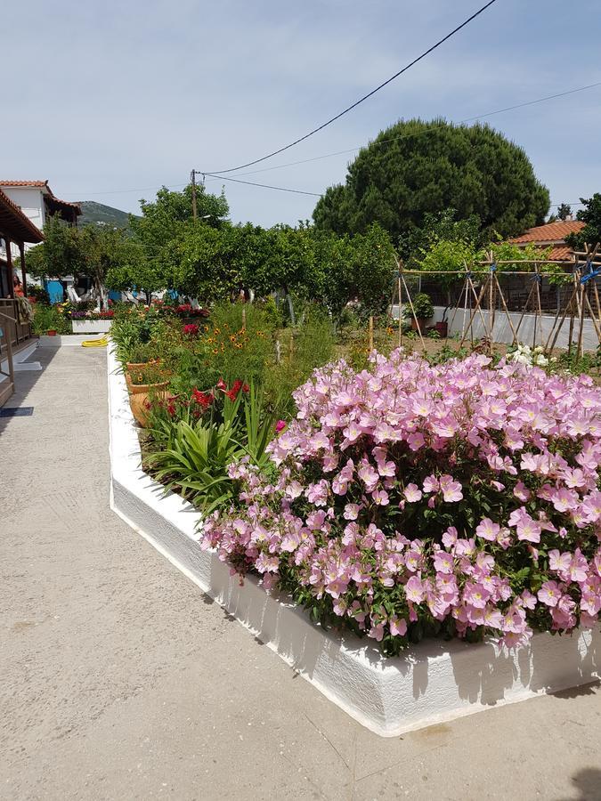 Asimina'S House Aparthotel Skiathos Exterior photo